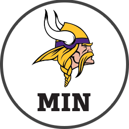 MINNESOTA VIKINGS Team Logo Image, MIN